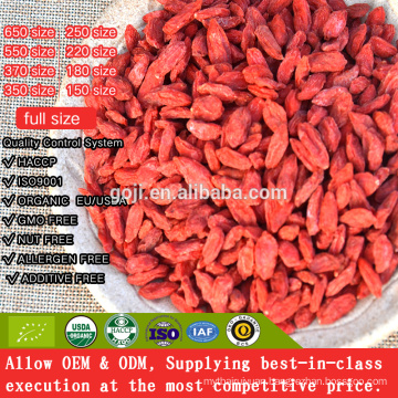 Best Organic Certificated Nutrition Goji Berry with high quality